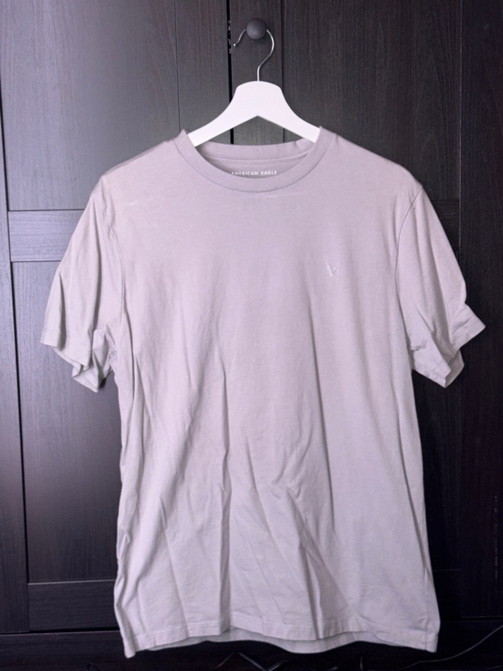 American Eagle Outfitters Men’s Crewneck T-Shirt in Light Gray